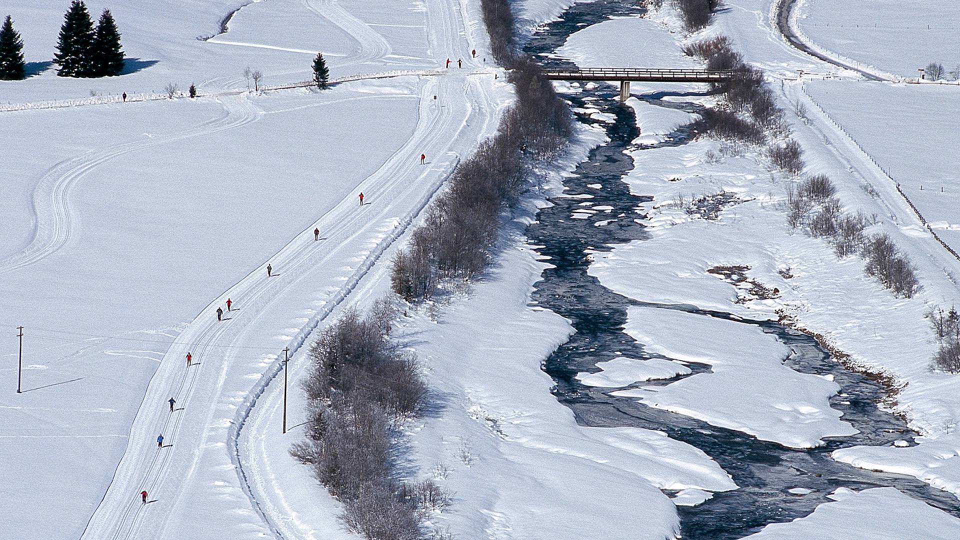 Langlaufen & Biathlon